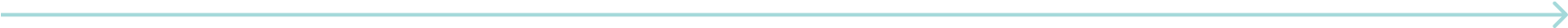 Vector 29 (1)